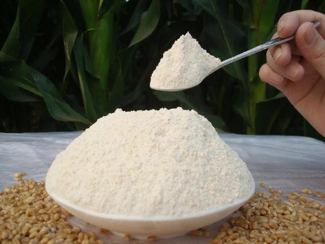 面粉是用小麦的什么做的（小麦面粉是啥）